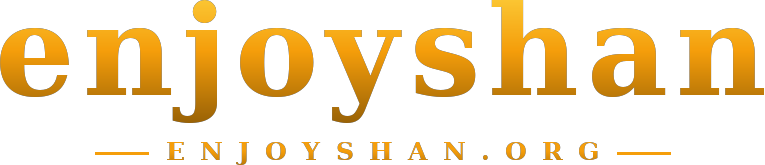 enjoyshan logo